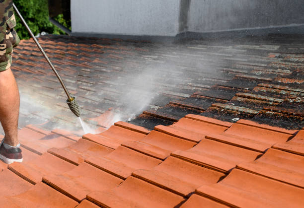Best Roof Pressure Washing  in Perkins, OK